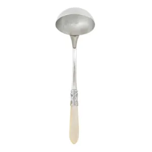 Aladdin Brilliant Soup Ladle