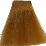 Augeas Professional Hair Color - 8.3 Light Golden Blonde