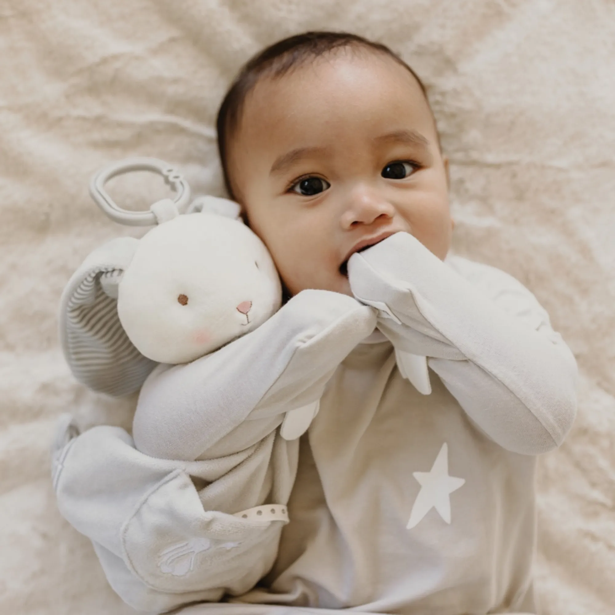 Bloom's Activity Toy
