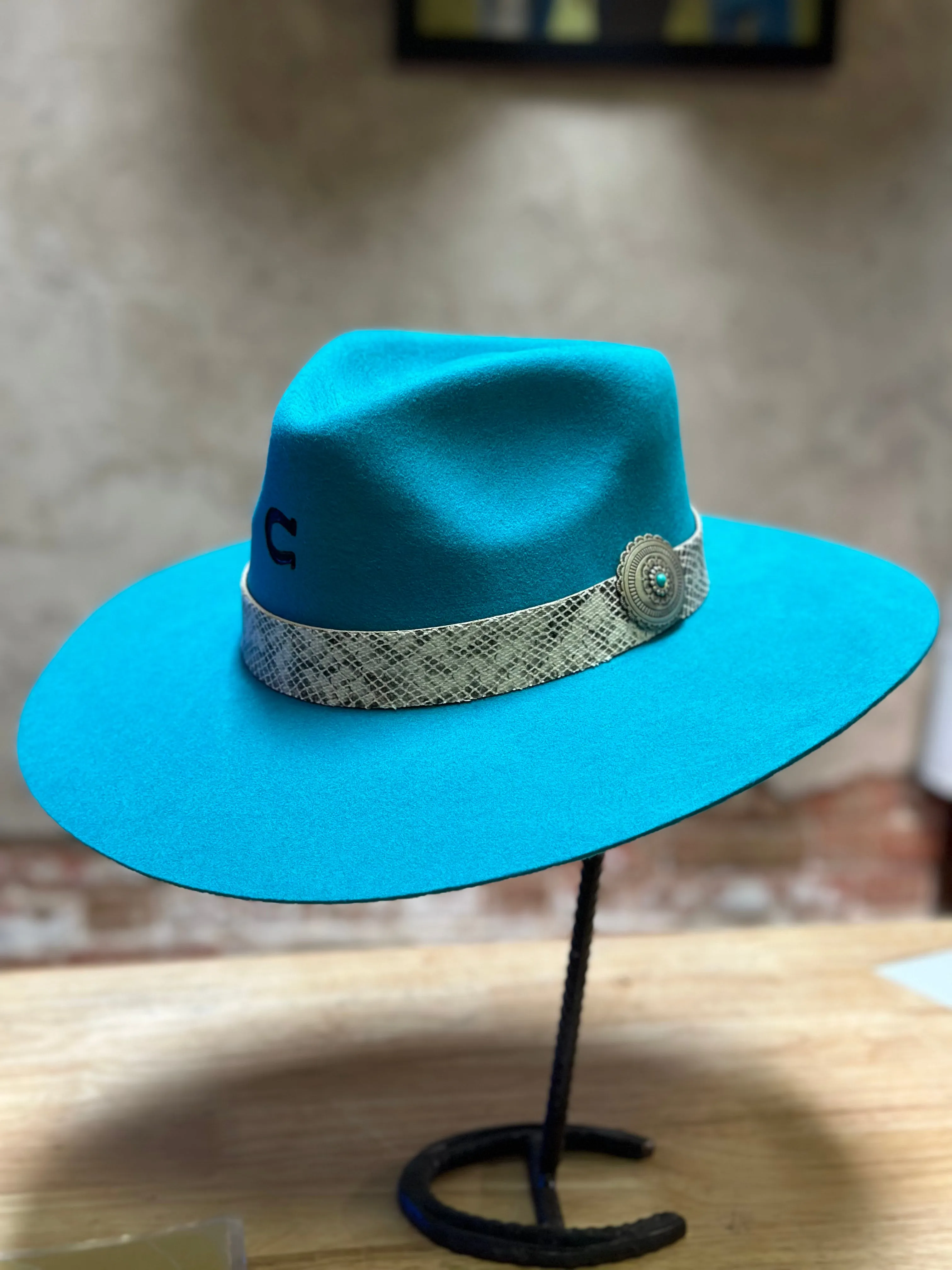 Charlie 1 Horse Sidewinder Wool Hat