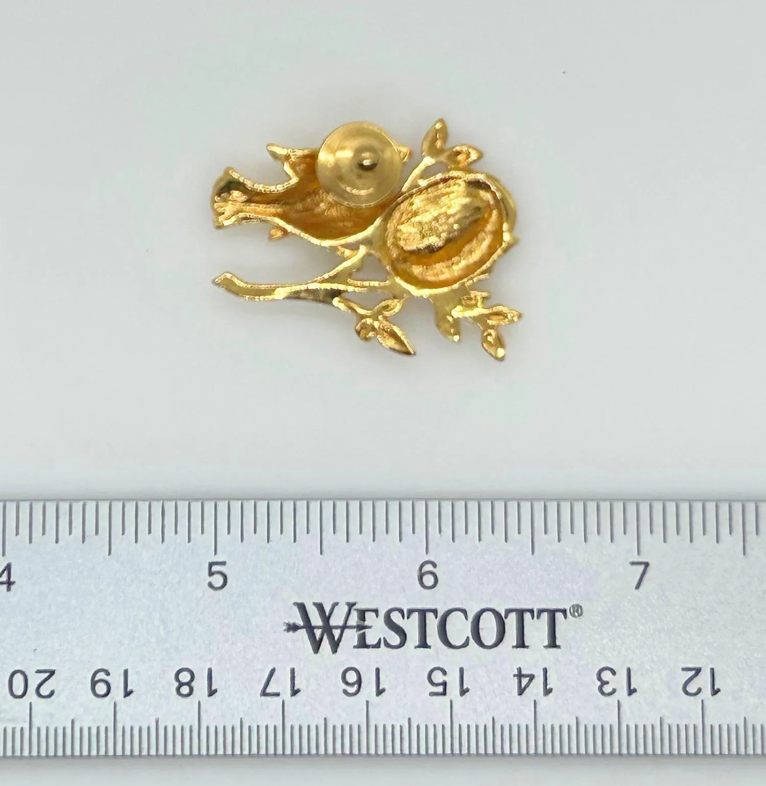 Charming Bird’s Nest with Eggs Pin