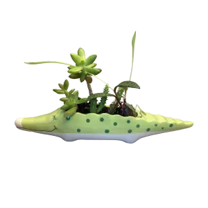 Charming Crocodilian Planter