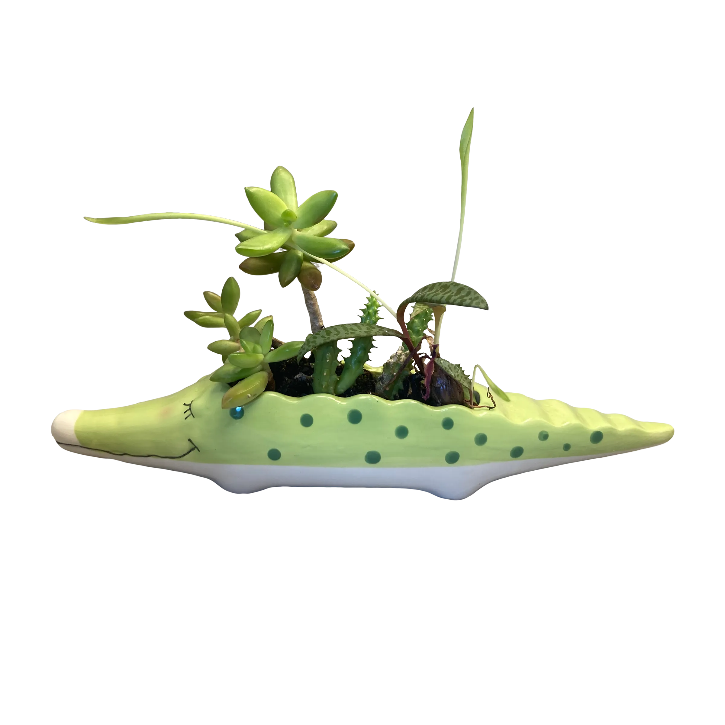 Charming Crocodilian Planter