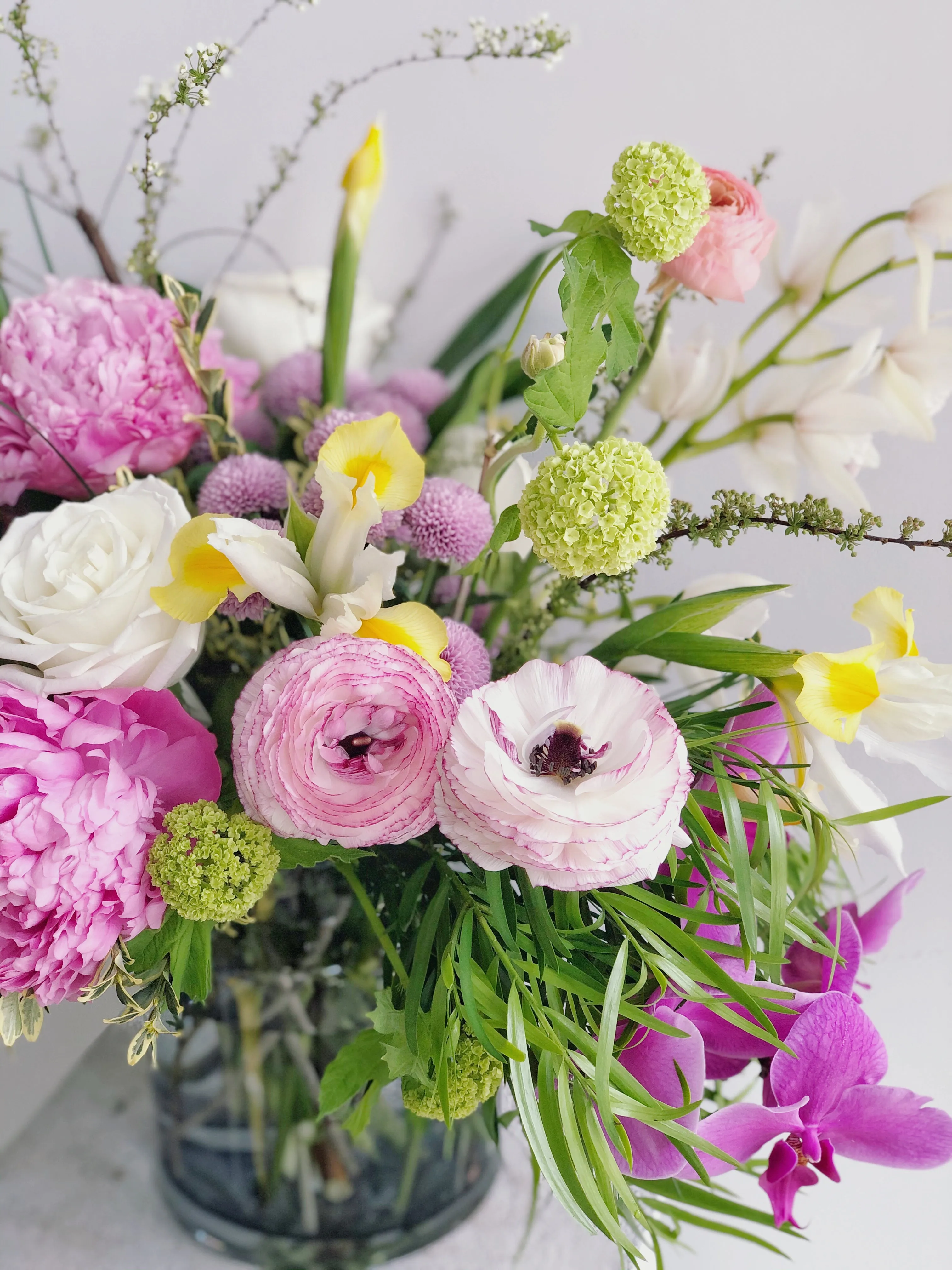 Charming Spring