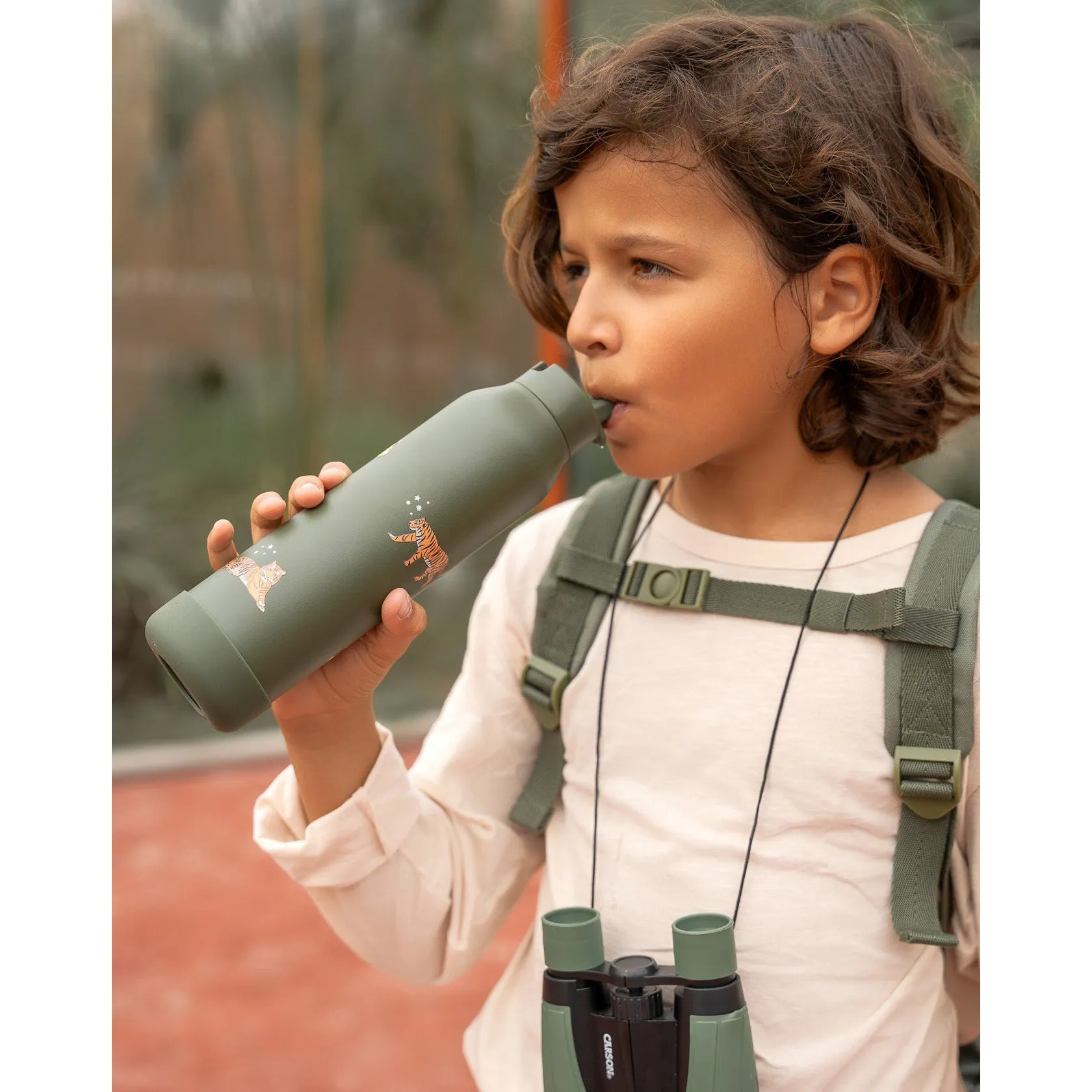 Citron 500ml Water Bottle - Tiger