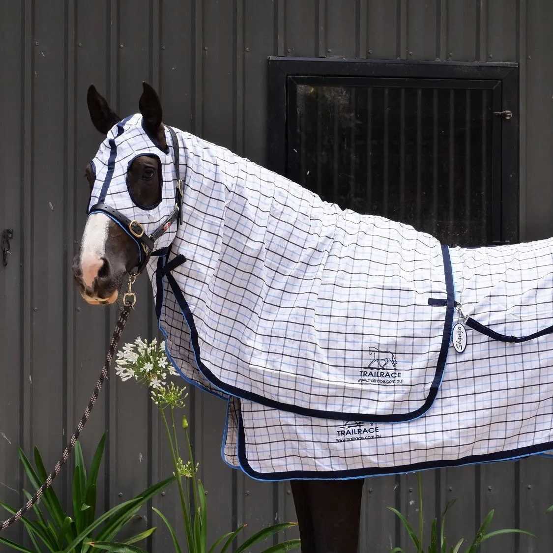 Collar Check Rug, Hood, and Tail Bag Set