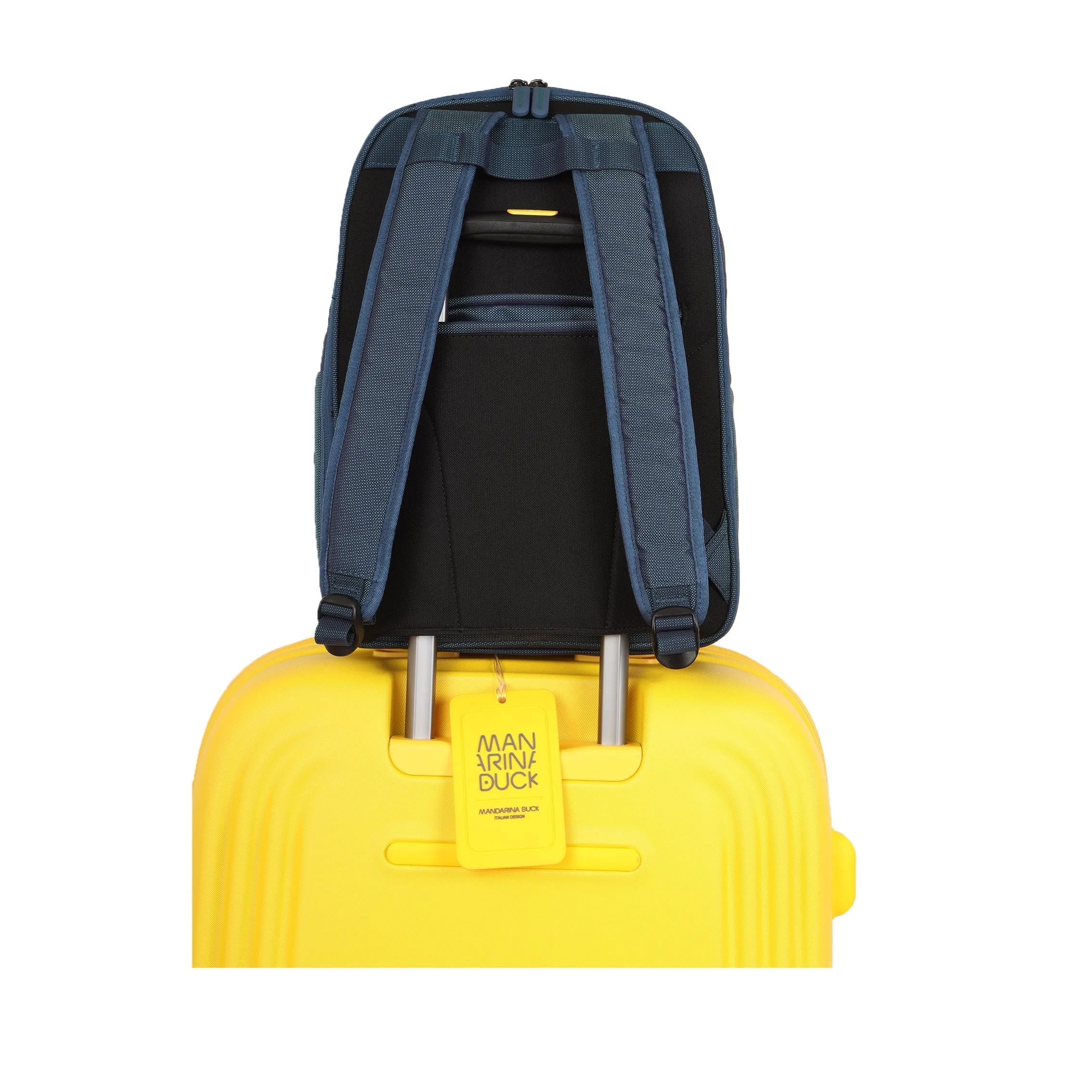 District 17L Professional Backpack