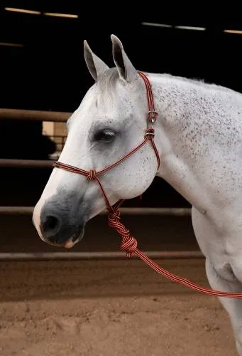 EASY ON ROPE HALTER
