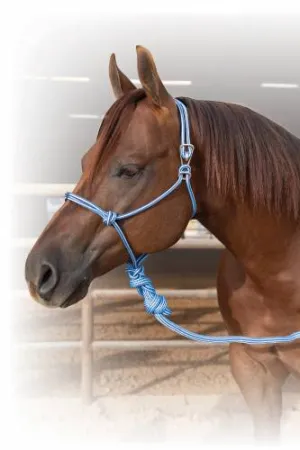 EASY ON ROPE HALTER