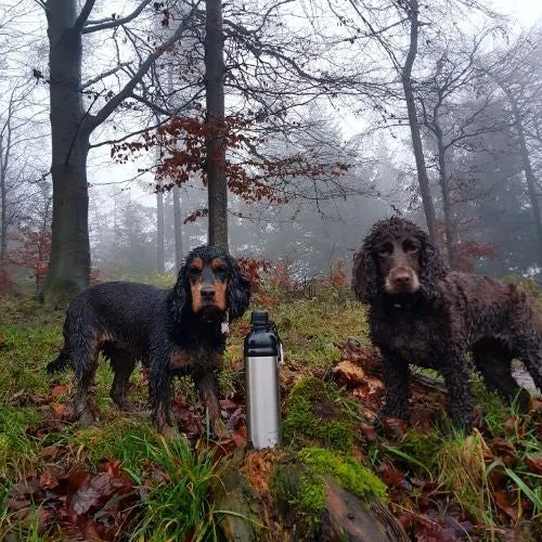 Long Paws Stainless Steel Lick 'n Flow Dog Water Bottle Silver 750ml