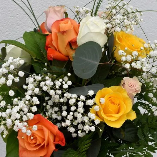 One dozen mixed colorful roses