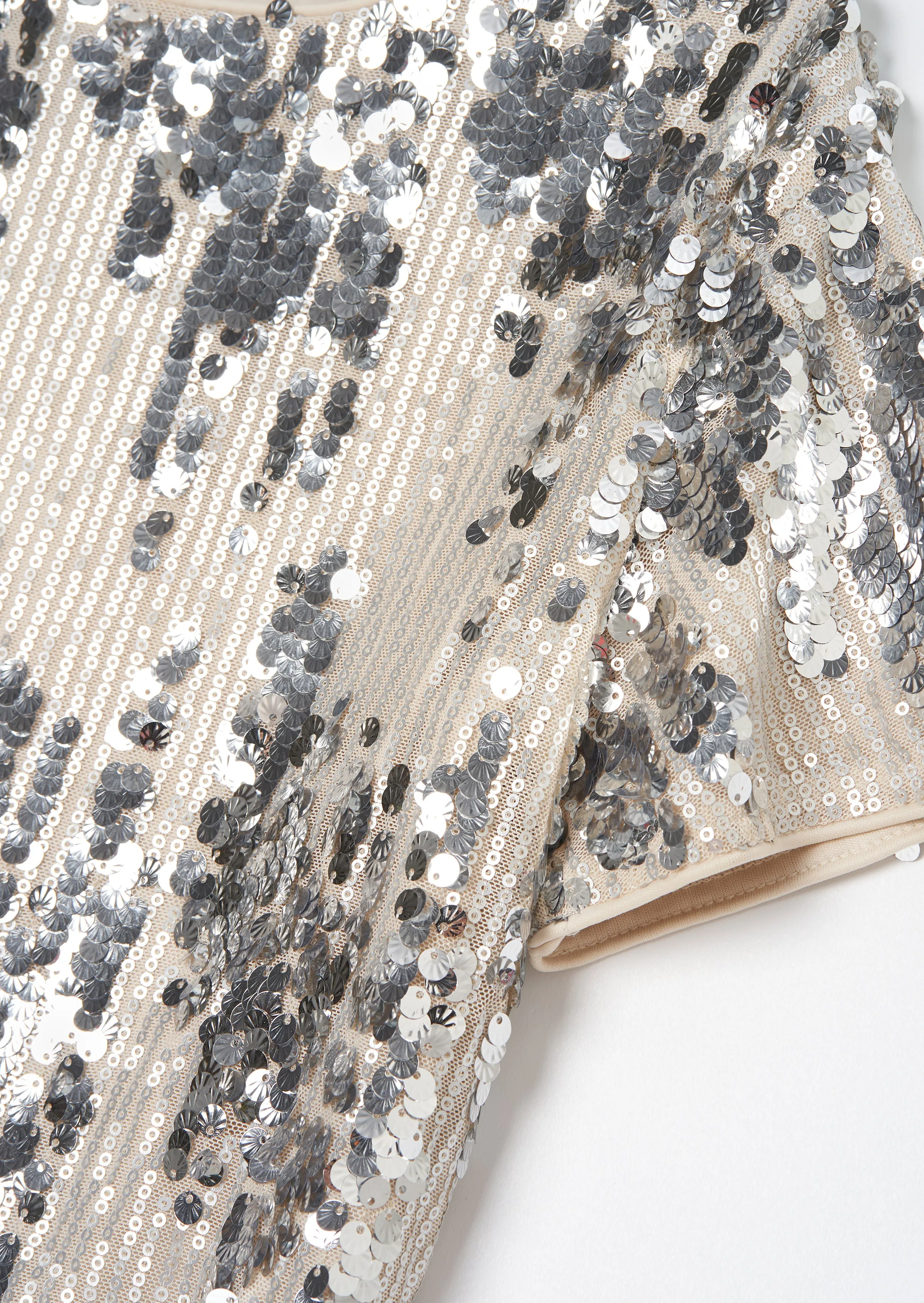 Sadie Silver Sequin Top