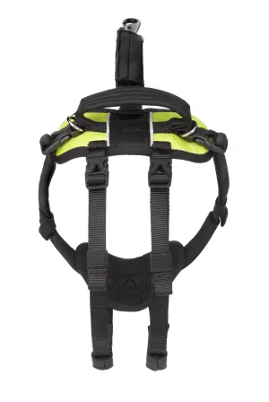 Small Conventional Hip Lift
