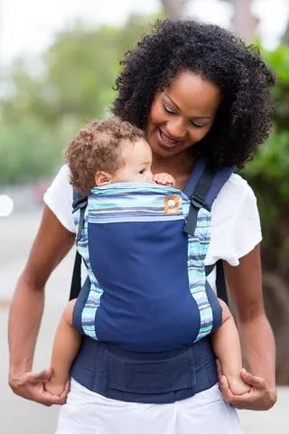 Tula Standard Baby Carrier