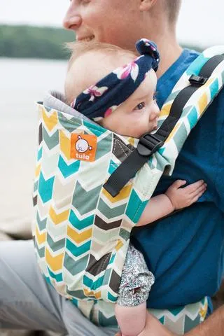 Tula Standard Baby Carrier