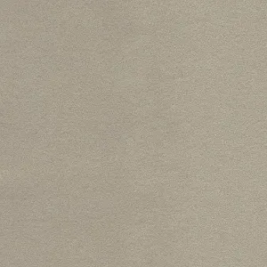 Wool Felt Sheet in Light Gray
