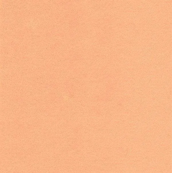 Wool Felt Sheet in Petal